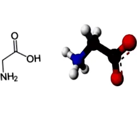aminoacid glicina