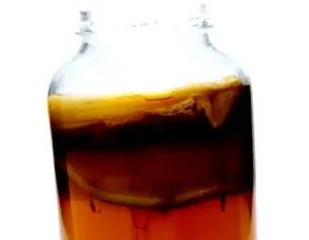 táplálkozási