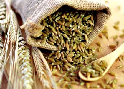 eligazodni gluténallergia