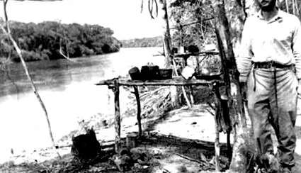 tiszteleg