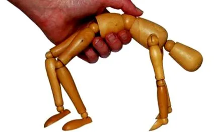 porckorongsérv vagy
