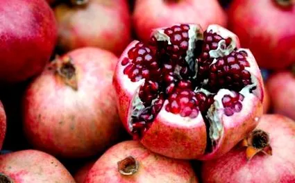 fructe