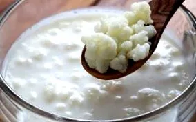 gyümölcs-kefir