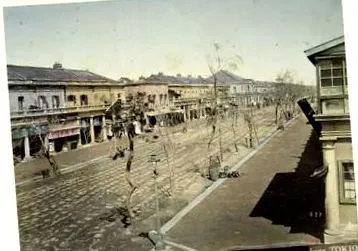 Digital Collections