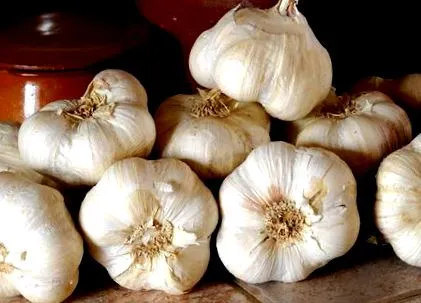 avantajul