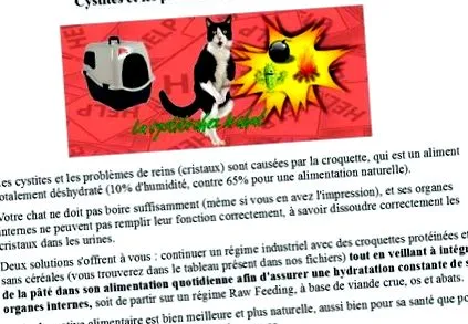 egészségére