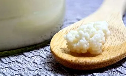 boabe kefir