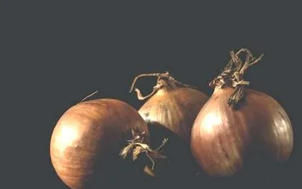 bogată plantă