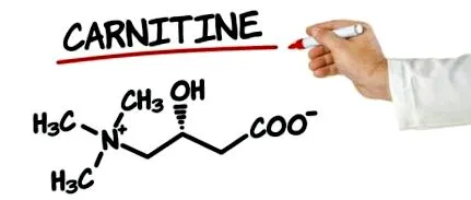 karnitin