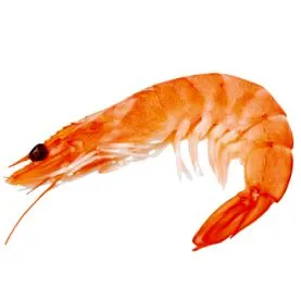 Élelmiszer Obszervatórium