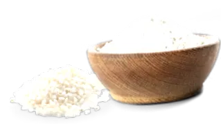 hajdina