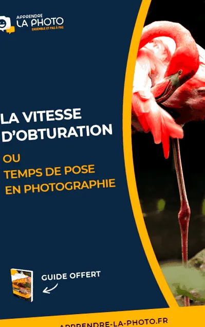 obturation
