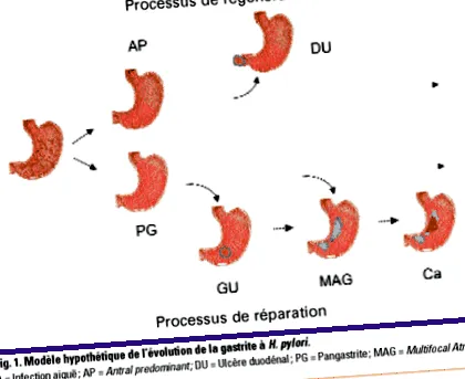 patogenia