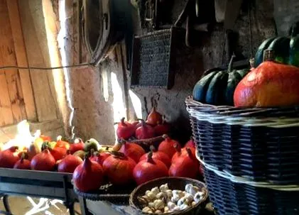squash útmutató