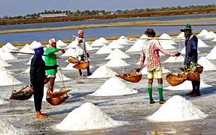 шавлією шавлією