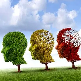 alzheimer-kór Pharmacie Principale
