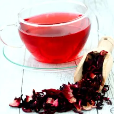 hibiscus