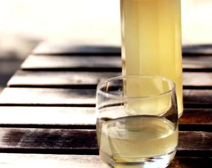 kefir