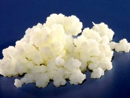 probiotikumok kefir