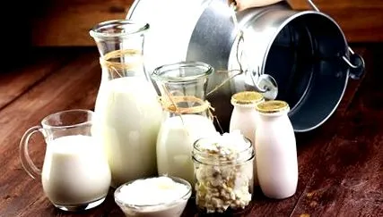 toutelanutrition