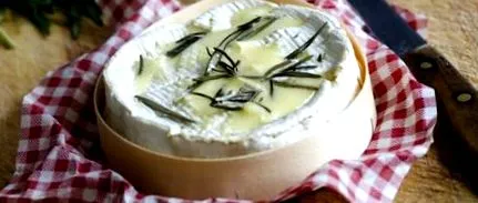 camembert