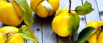 fructul