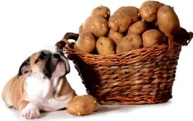 despre dieta