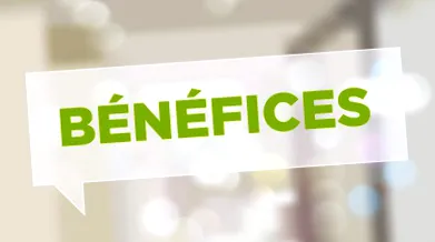 partnerségi rendszer
