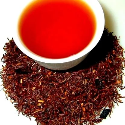 rooibos