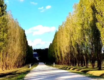 Relais Landes