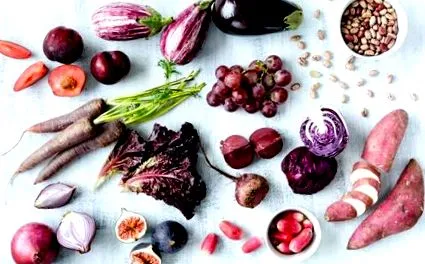 dieta