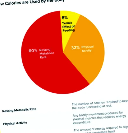caloriile