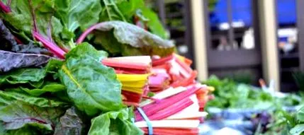 LaNutrition розповість
