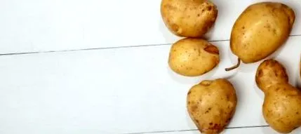 burgonya