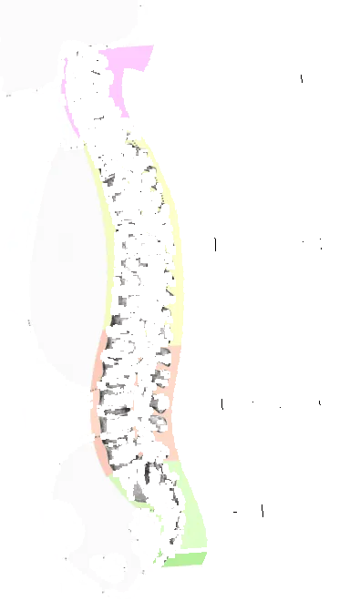 sérülés