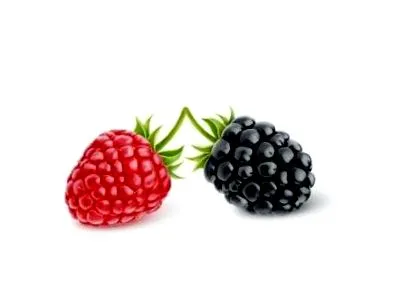 rasbberries