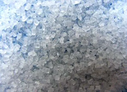 therapeutes