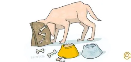 labradorii