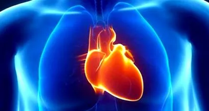 cardiac