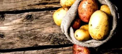 aliment
