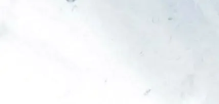 fogyjon fogyjon
