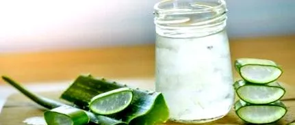 aloe