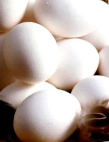 mayo vagy