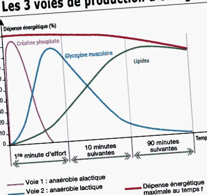 testépítés