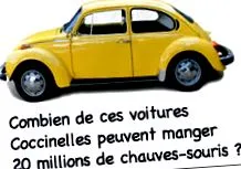 étele denevérek