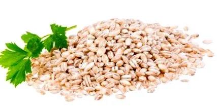 risotto