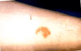 лилаво