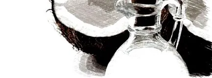tulajdonságai