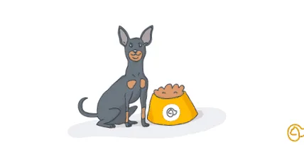 pinscher teljes