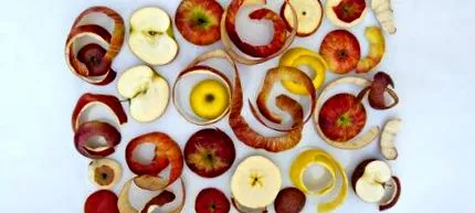 fructe